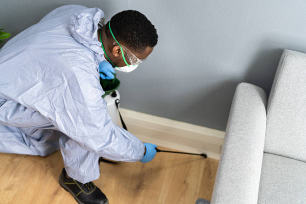 Best Commercial Pest Control  in Sierra Vista Southeast, AZ